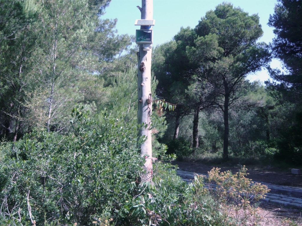 STAZIONE ALLARME INCENDI BOSCHIVI - immagine 2